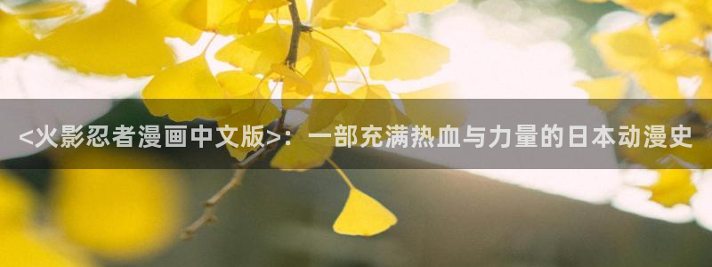 汗汗漫画手机版：<火影忍者漫画中文版>：一部充满热血与力量的日本动漫史