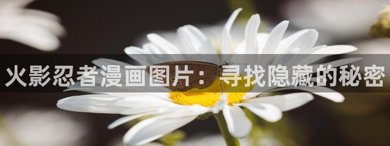 汗汗漫画免费下拉式：火影忍者漫画图片：寻找隐藏的秘密