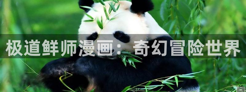 汗汗漫画免费阅读看漫在线：极道鲜师漫画：奇幻冒险世界