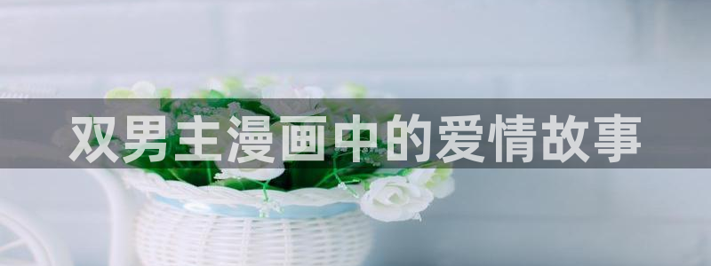 汗汗漫画在线免费登录入口：双男主漫画中的爱情故事