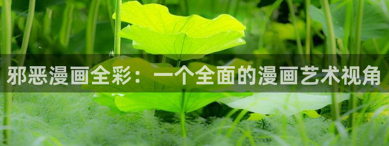 汗汗漫画在线观看免费版：邪恶漫画全彩：一个全面的漫画艺术视角