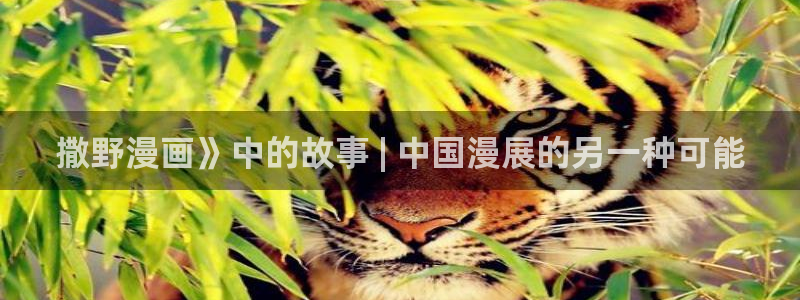 歪歪汗汗漫画网站：撒野漫画》中的故事 | 中国漫展的另一种可能