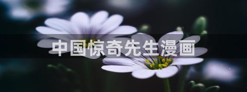 汗汗漫画网sss