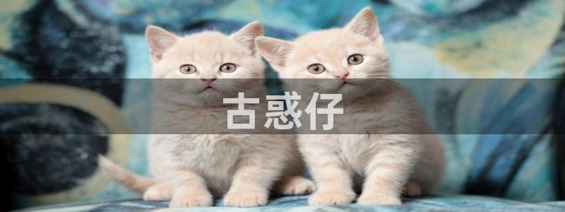 汗汗漫画app