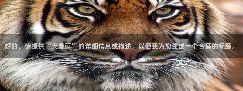 汗汗漫画sss在线观看
