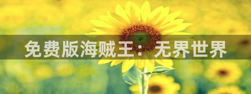 汗汗漫画在线观看网站：免费版海贼王：无界世界