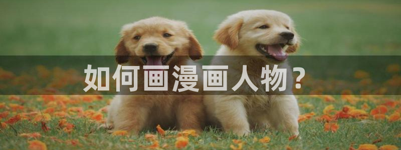 歪歪汗汗漫画：如何画漫画人物？