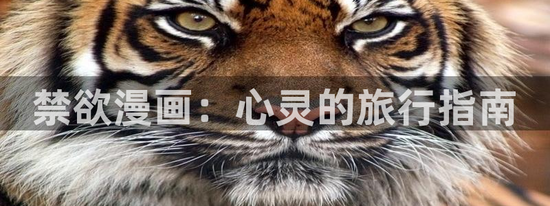 sss汗汗漫画：禁欲漫画：心灵的旅行指南