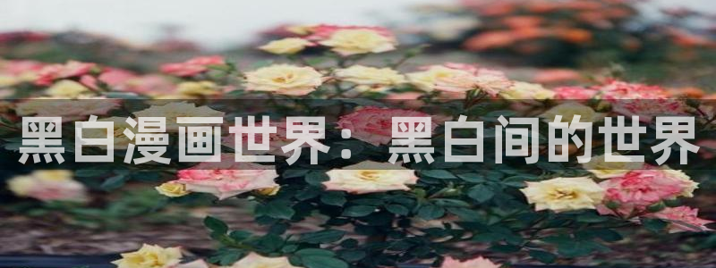 羞汗汗漫画：黑白漫画世界：黑白间的世界