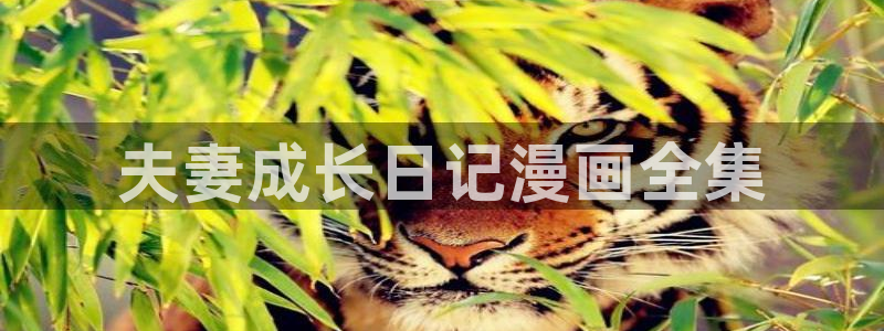 免费汗汗漫画：夫妻成长日记漫画全集
